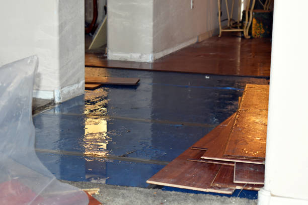 Professional Flood Cleanup technician working in Goshen, CA